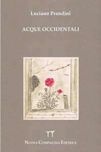 acque occidentali